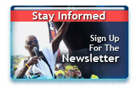Sign Up For The Newsletter